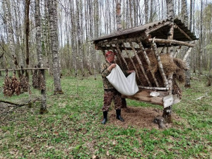 На Смоленщине благоустраивают кормушки для диких животных