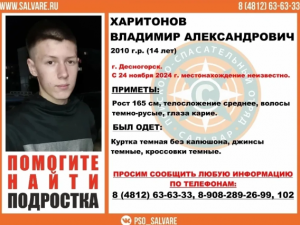 В Смоленской области пропал 14-летний мальчик